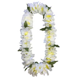 white plumeria leis